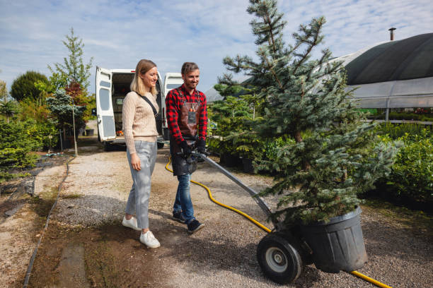 Best Tree Stump Removal  in Terrace Heights, WA